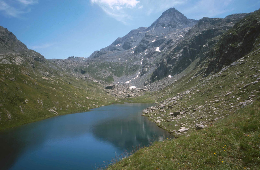 135.jpg