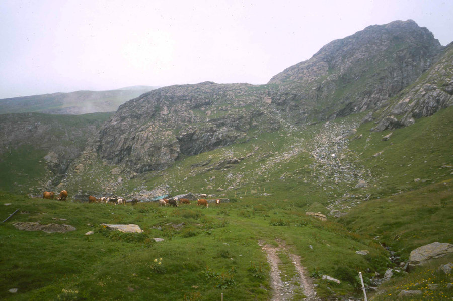 204.jpg