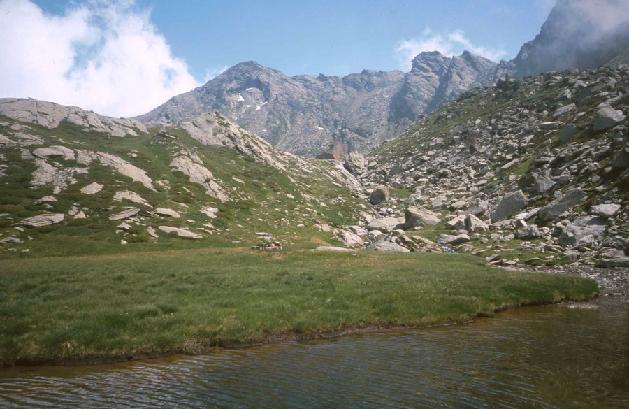 205.jpg