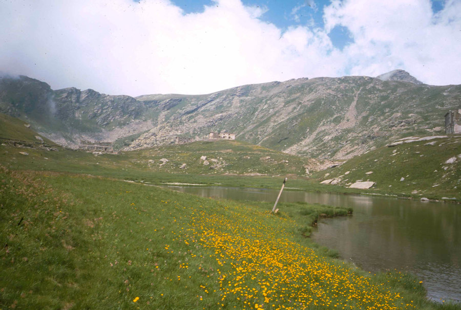 206.jpg