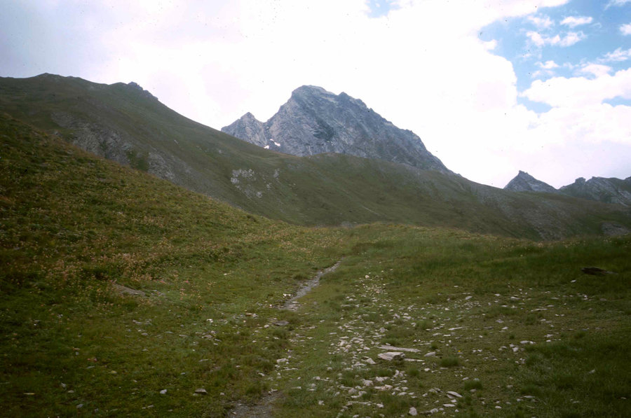 211.jpg
