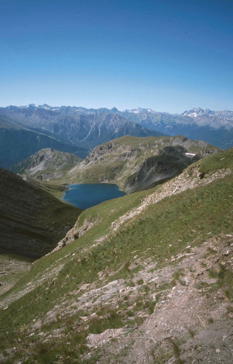 215.jpg