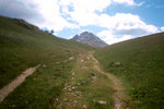 229.jpg