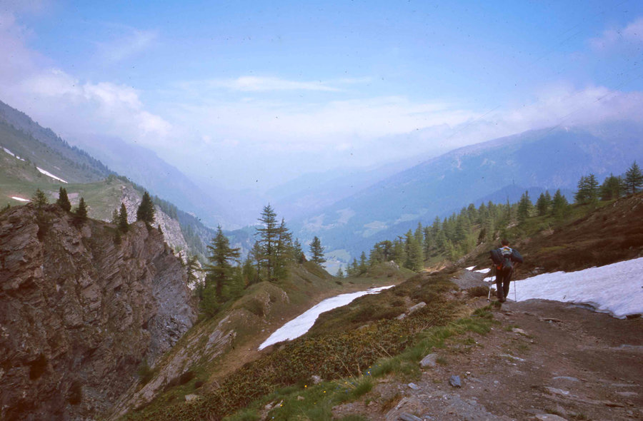 134.jpg