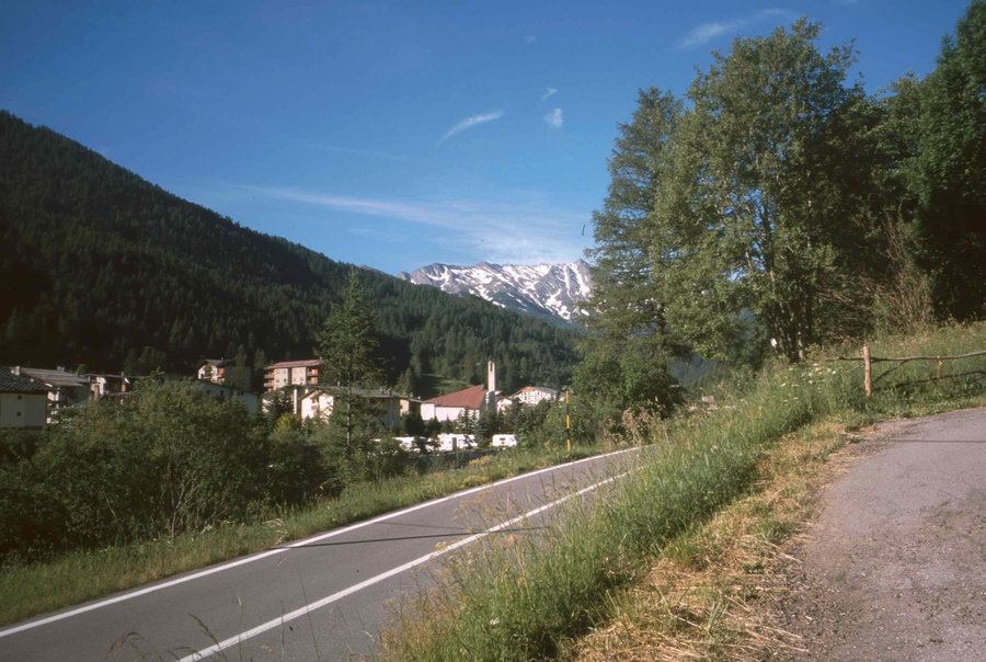 204.jpg
