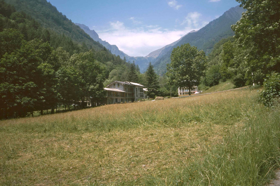205.jpg