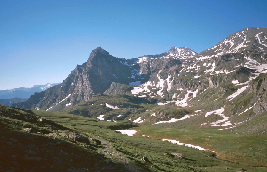 208.jpg