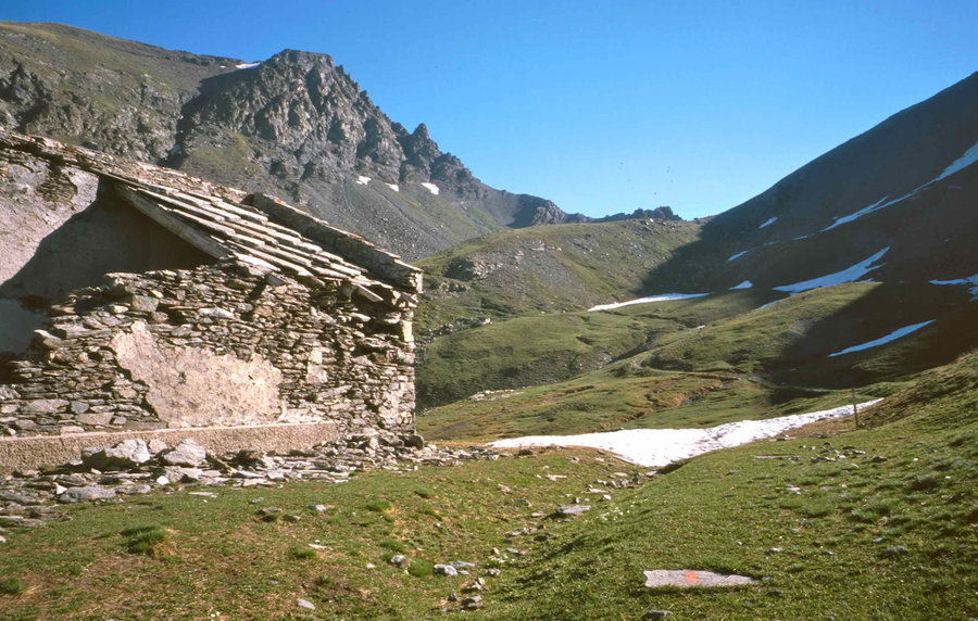 209.jpg