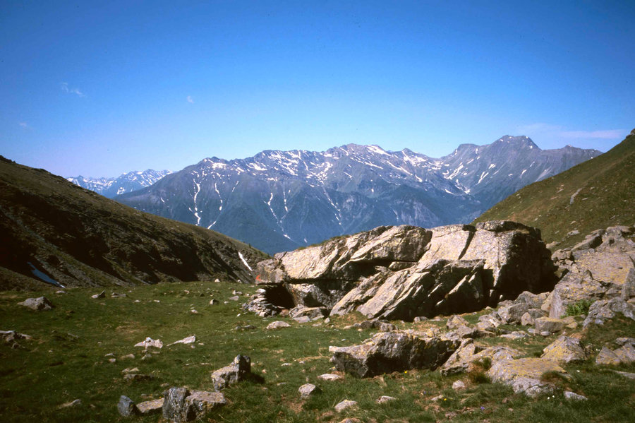 218.jpg
