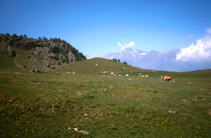 221.jpg
