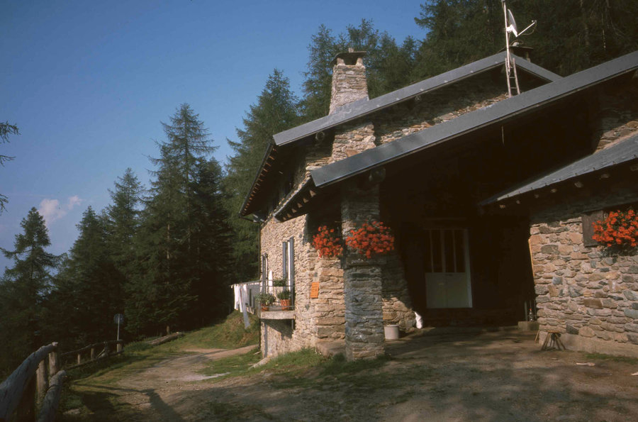223.jpg