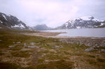 236.jpg