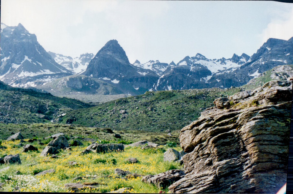 67.jpg