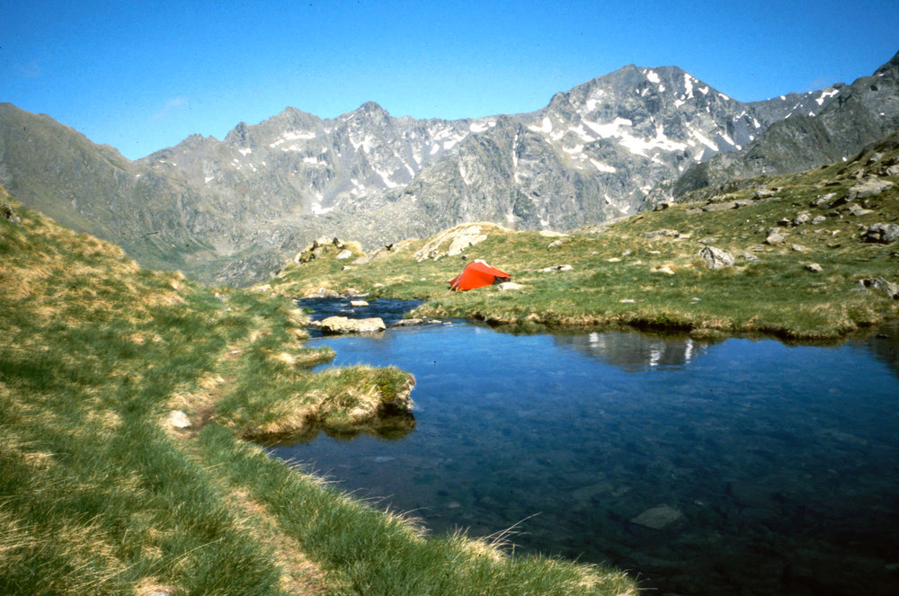 206.jpg