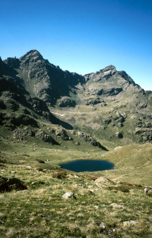 207.jpg