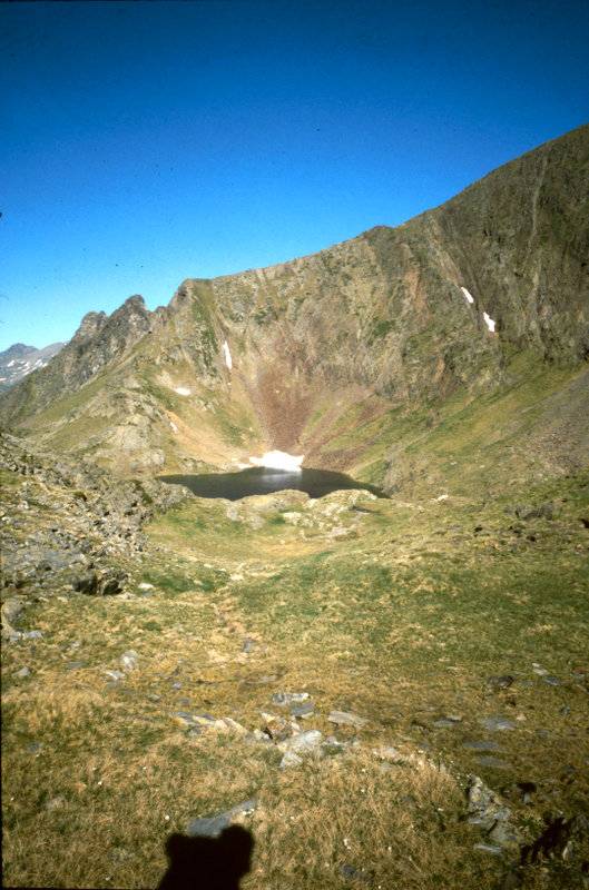 216.jpg