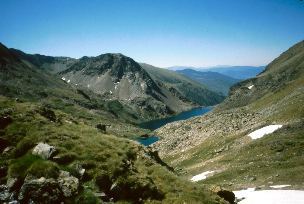 223.jpg